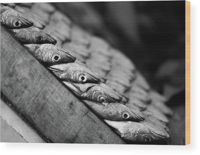 In A Row Wood Print featuring the photograph Fish At Marché Central, Casablanca by © Chaitanya Deshpande