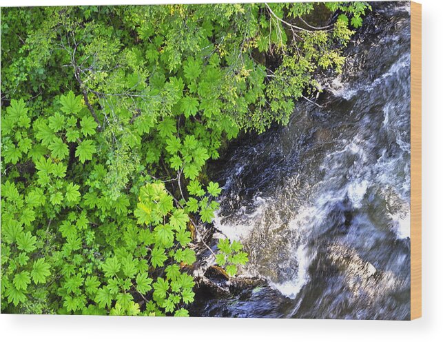 Fish Creek Wood Print featuring the photograph Fish Creek in Summer by Cathy Mahnke