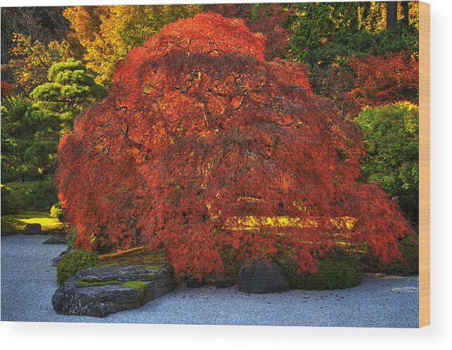 Oregon Wood Print featuring the photograph Flat Garden Maple by Mark Kiver