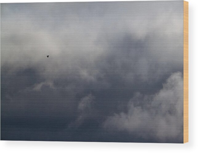 Bird Wood Print featuring the photograph Fleeing the Storm  by Lars Lentz