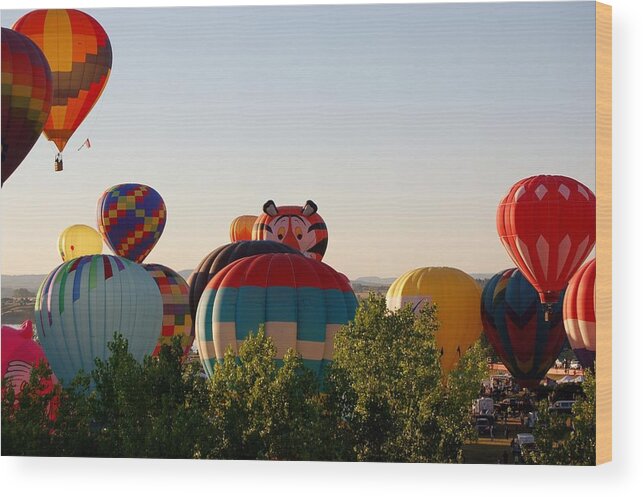 Hot Air Balloons Wood Print featuring the photograph Flight of the Tiger by Christopher James