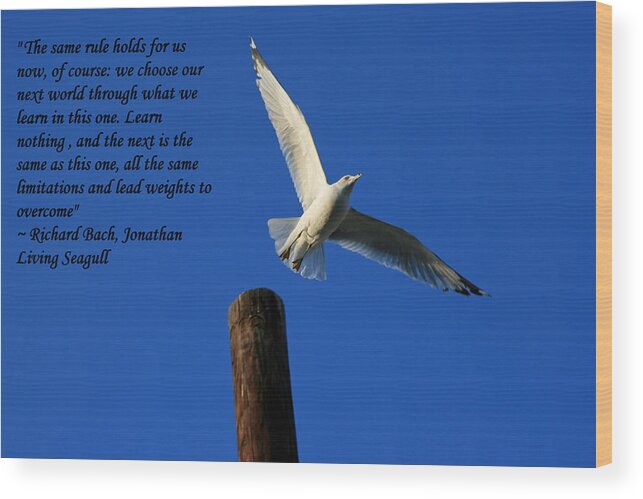 Quote Wood Print featuring the photograph Flight to freedom by Andy Lawless