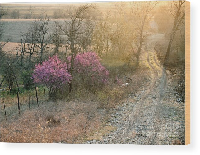 Flint Hills;  Spring; Redbuds; Country; Country Landscape; Nature; The Great Outdoors; Kansas Day Trip; Seasons;   Wood Print featuring the photograph Flint Hills Spring by Betty Morgan