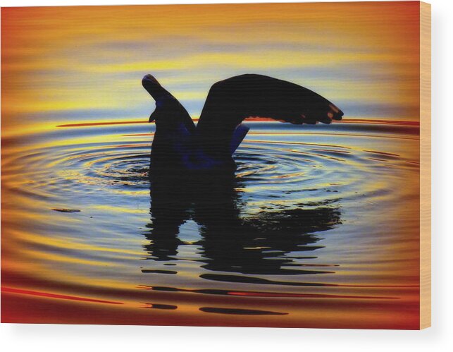 Water Reflections Wood Print featuring the photograph Floating Wings by Karen Wiles