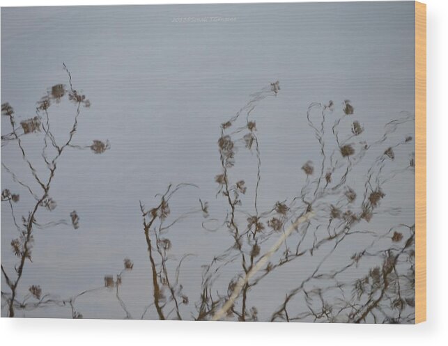 Digital Photography Wood Print featuring the photograph Floral reflection by Sonali Gangane