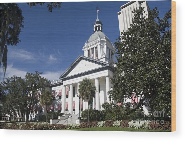 Architecture Wood Print featuring the photograph Florida Capital Building by Ules Barnwell