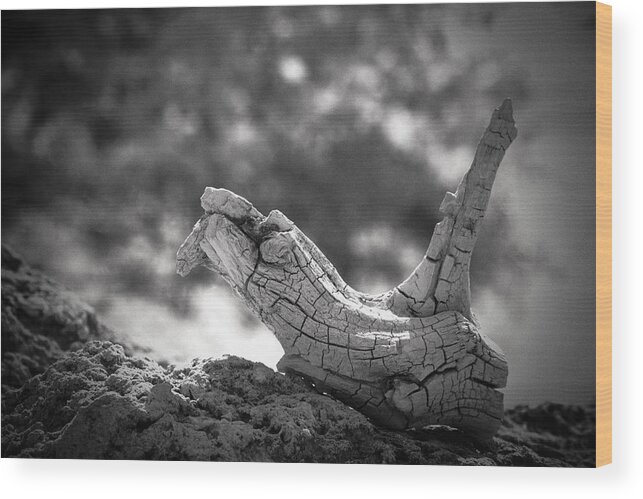 Keys Wood Print featuring the photograph Florida Keys Driftwood by Bradley R Youngberg