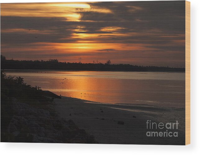 Sunrise Wood Print featuring the photograph Florida Sunrise by Meg Rousher