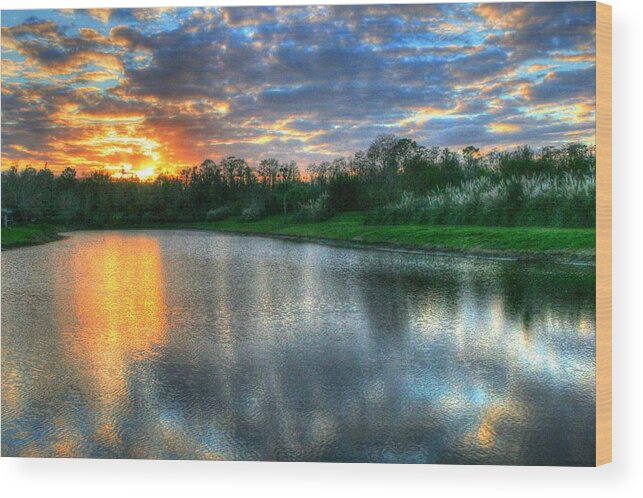 Sunset Wood Print featuring the photograph Florida Sunset by Steve Parr
