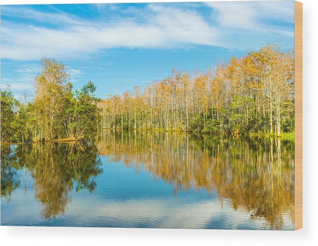 Florida Wood Print featuring the photograph Florida Winter Wonderland by Jody Lane