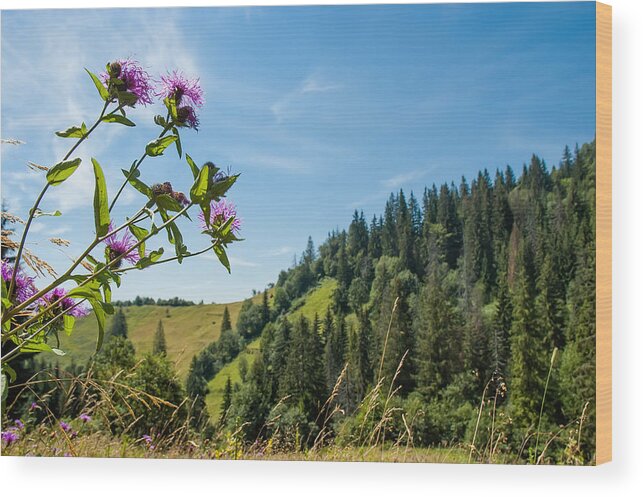 Carpathian Wood Print featuring the photograph Flower in the Carpathians by Alain De Maximy