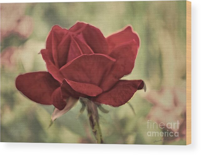 Floral Wood Print featuring the photograph Flower - Victorian Rose - Luther Fine Art by Luther Fine Art