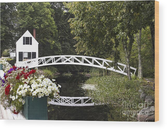 Maine Wood Print featuring the photograph Flowers and Reflections by Karin Pinkham