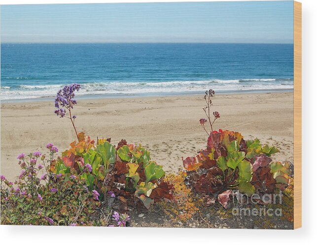 Pismo Beach Wood Print featuring the photograph Flowers On Pismo Beach by Debra Thompson