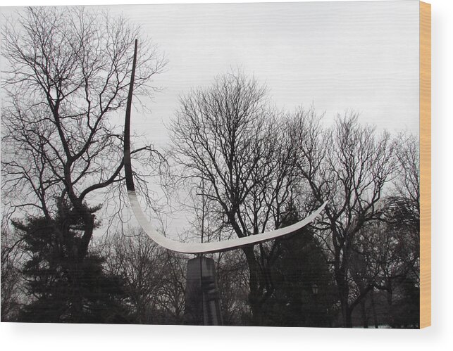  Wood Print featuring the photograph Flushing Meadows - 1 by Steve Breslow
