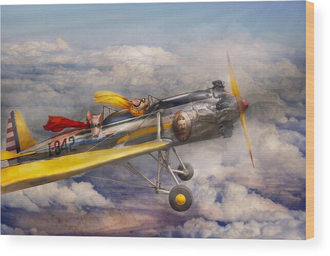 Pig Wood Print featuring the photograph Flying Pig - Plane - The joy ride by Mike Savad