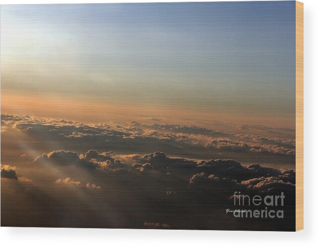 Flying Wood Print featuring the photograph Flying with Sunset by Yumi Johnson