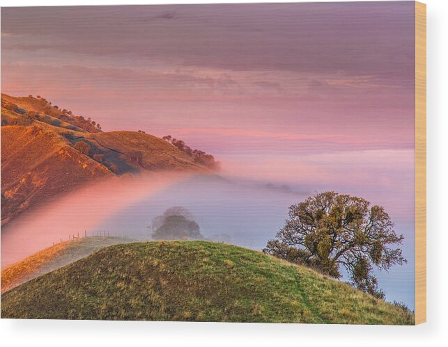 Landscape Wood Print featuring the photograph Fog flow 12-8-14 by Marc Crumpler