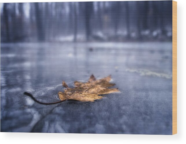 Fog Wood Print featuring the photograph Fog Ice Leaf by Craig Szymanski