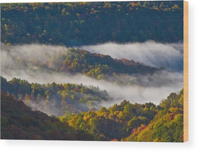 Valley Wood Print featuring the photograph Fog in the forest by Ulrich Burkhalter