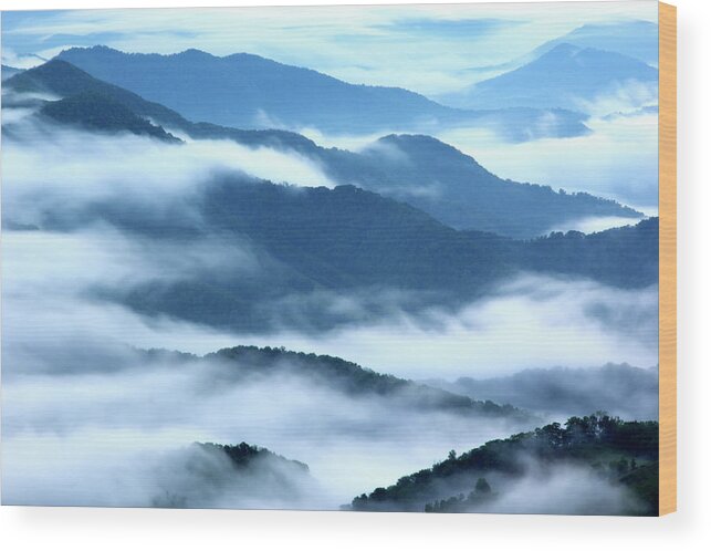 Scenics Wood Print featuring the photograph Foggy Appalachian Mountain Ridges by Brett Maurer