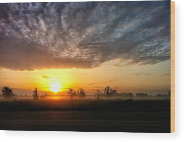Tim Stanley Wood Print featuring the photograph Foggy Field Sunrise by Tim Stanley