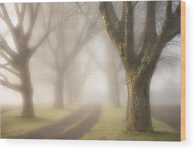 Fog Wood Print featuring the photograph Foggy Lane by Lori Grimmett