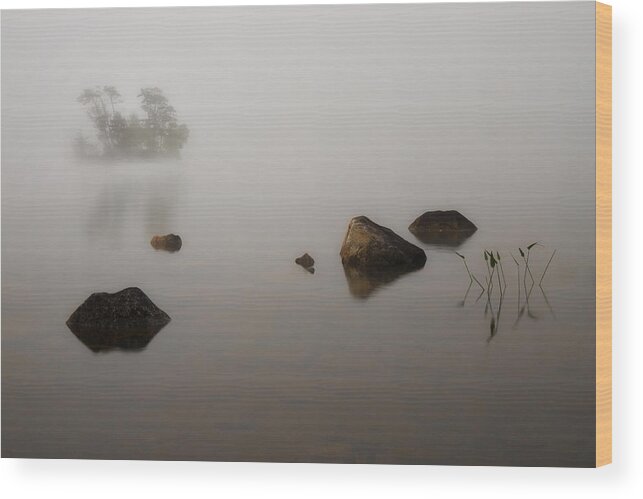 Moose Pond Wood Print featuring the photograph Foggy Morn by Darylann Leonard Photography