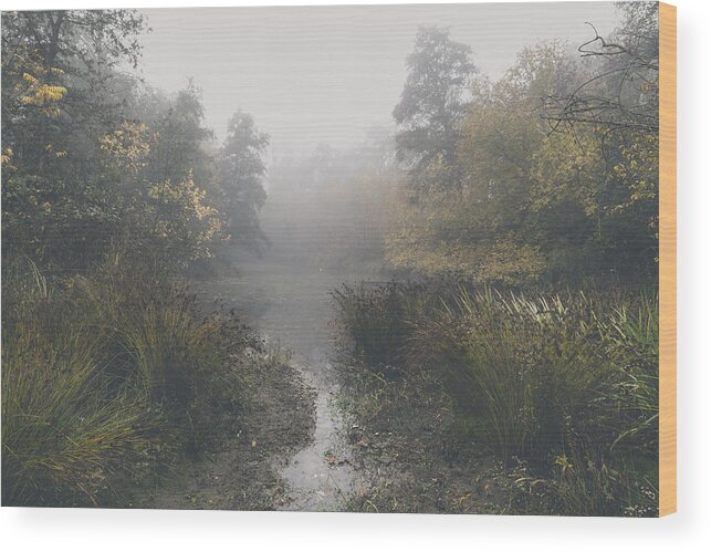 Foggy River Wood Print featuring the photograph Foggy Morning by Lee Harland
