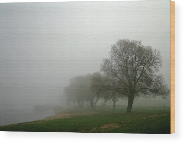 Tranquility Wood Print featuring the photograph Foggy Morning by Robert Kozuch