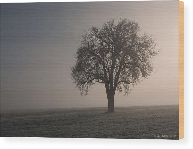 Sale Wood Print featuring the photograph Foggy Morning Sunshine by Miguel Winterpacht