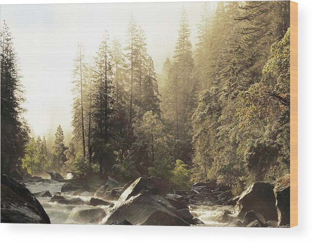 Scenics Wood Print featuring the photograph Foggy Sky Over Spring Creek In Yosemite by Arturbo