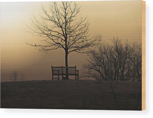 Sunrise Wood Print featuring the photograph Foggy Sunrise by Jackson Pearson