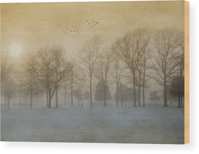 Fog Wood Print featuring the photograph Foggy Sunset by Cathy Kovarik