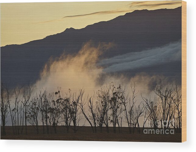 Sunset Wood Print featuring the photograph Foggy Sunset by Inge Riis McDonald