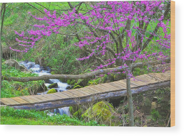 Trees Wood Print featuring the photograph Footbridge under the Redbud Tree by Alan Lenk