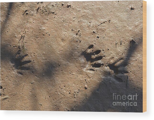 Footprints Wood Print featuring the photograph Footprints2 by Laurianna Taylor