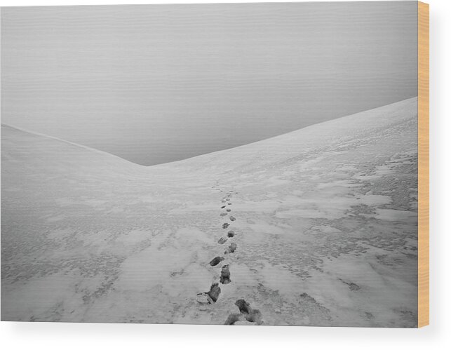 Tranquility Wood Print featuring the photograph Footsteps In Snow by Erika Tirén/magic Air
