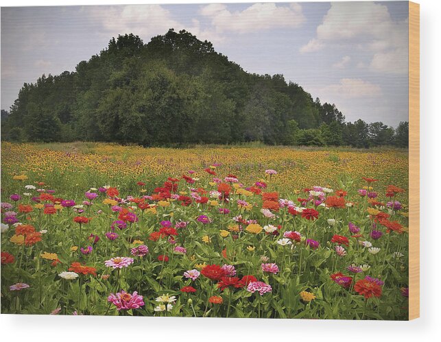Flowers Wood Print featuring the photograph For the Beauty of the Earth by T Lowry Wilson