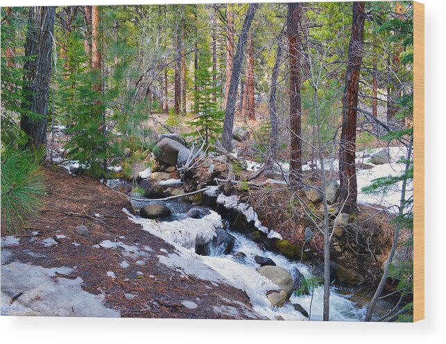 Nevada Wood Print featuring the photograph Forest Creek 4 by Brent Dolliver