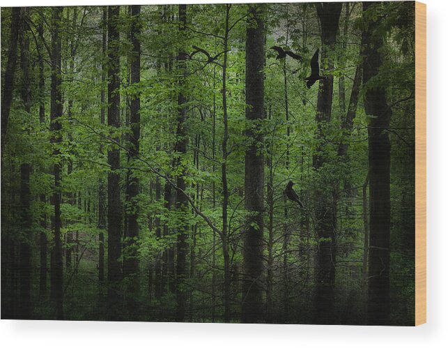 Evie Wood Print featuring the photograph Forest in Cades Cove by Evie Carrier