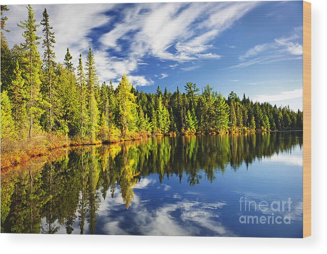 Lake Wood Print featuring the photograph Forest reflecting in lake by Elena Elisseeva