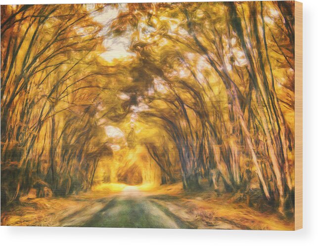 Painting Wood Print featuring the painting Forest Road by Joel Olives