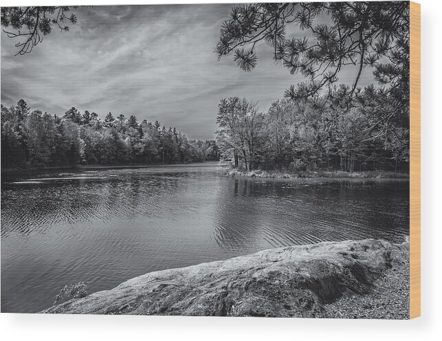2013 Wood Print featuring the photograph Fork In River BW by Mark Myhaver