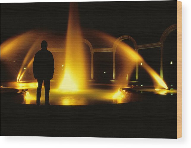 Mysterious Wood Print featuring the photograph Fountain Silhouette by Jason Politte