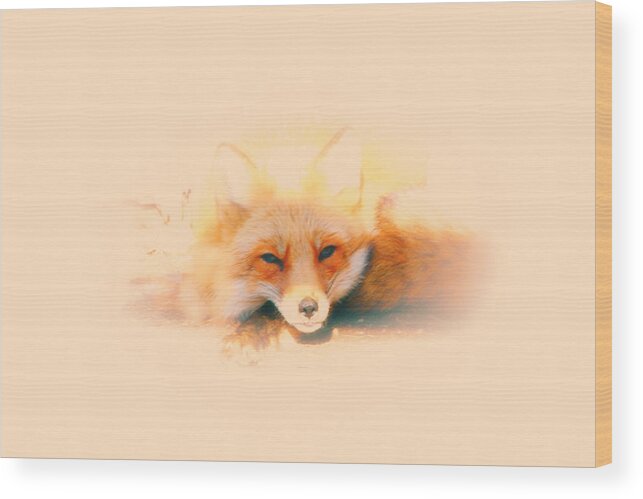 Red Fox Wood Print featuring the photograph Foxy by Karol Livote