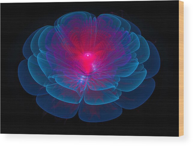 Flower Wood Print featuring the digital art Fractal flower blue and red by Matthias Hauser