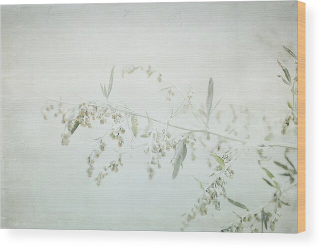 Home Decor Wood Print featuring the photograph Fragile - British Columbia by Lisa Parrish