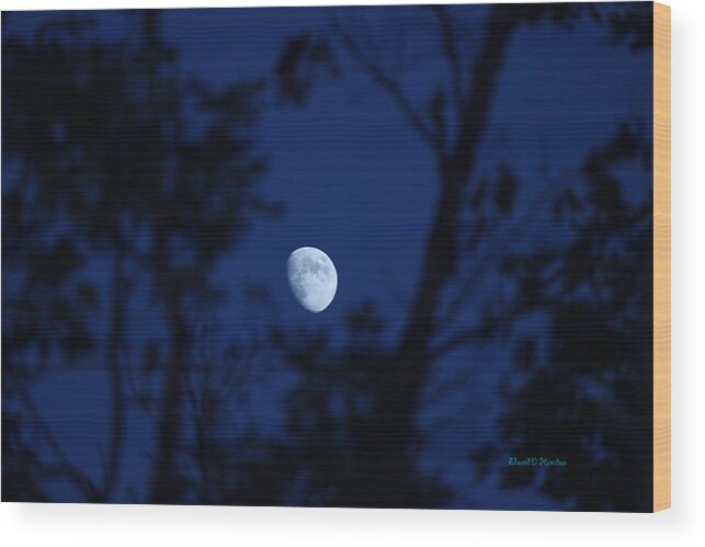 Moon Wood Print featuring the photograph Framed moon by Edward Hamilton