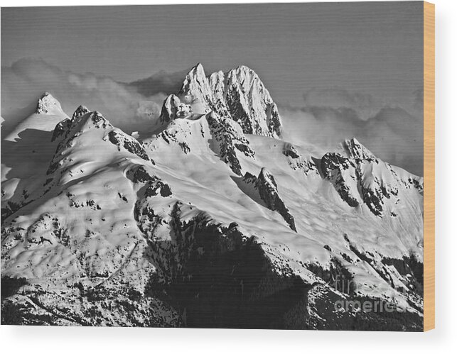 Alaska Wood Print featuring the digital art Frederick Sound Alaska by Shirley Mangini